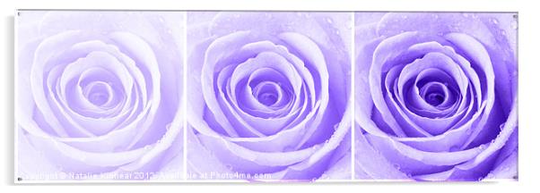 Purple Rose with Water Droplets Triptych Acrylic by Natalie Kinnear