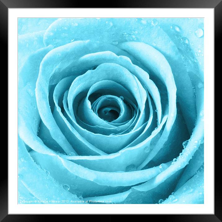 Turquoise Rose with Water Droplets Framed Mounted Print by Natalie Kinnear