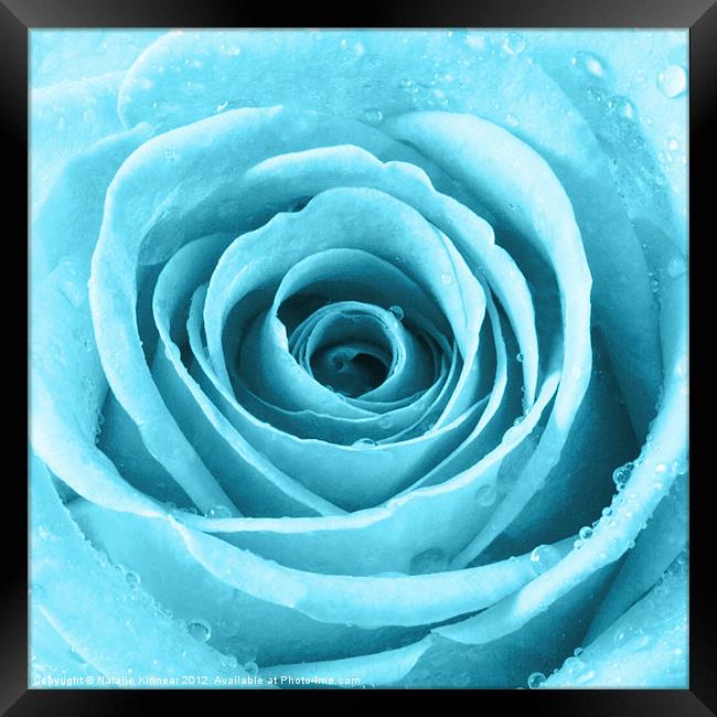 Turquoise Rose with Water Droplets Framed Print by Natalie Kinnear