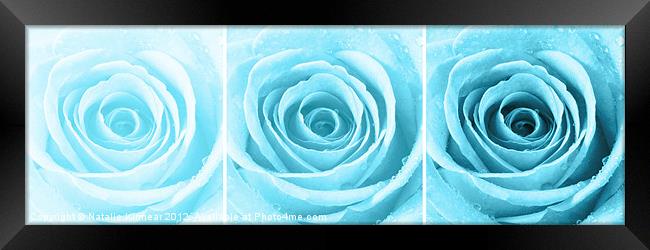 Turquoise Rose with Water Droplets Triptych Framed Print by Natalie Kinnear