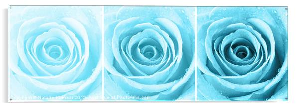 Turquoise Rose with Water Droplets Triptych Acrylic by Natalie Kinnear