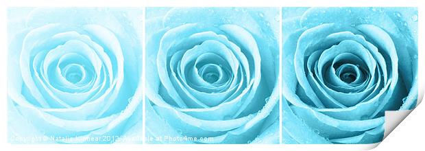 Turquoise Rose with Water Droplets Triptych Print by Natalie Kinnear