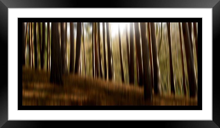 forest dreams Framed Mounted Print by Heather Newton