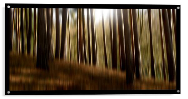forest dreams Acrylic by Heather Newton