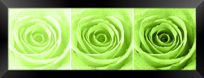 Lime Green Rose with Water Droplets Triptych Framed Print by Natalie Kinnear