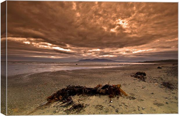 On Rossglass Beach Canvas Print by pauline morris