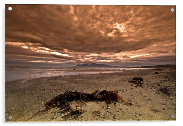 On Rossglass Beach Acrylic by pauline morris