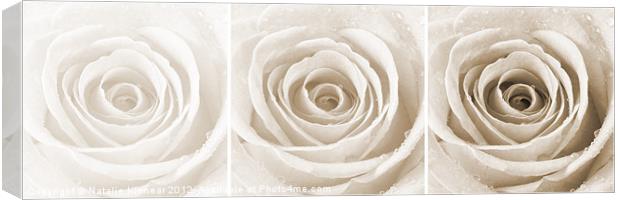 Sepia Rose with Water Droplets Triptych Canvas Print by Natalie Kinnear