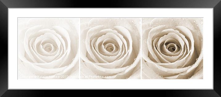 Sepia Rose with Water Droplets Triptych Framed Mounted Print by Natalie Kinnear