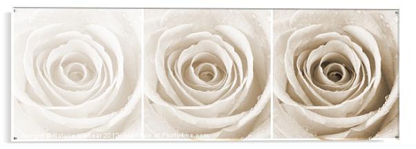 Sepia Rose with Water Droplets Triptych Acrylic by Natalie Kinnear