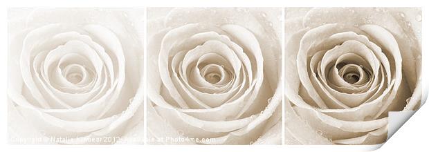Sepia Rose with Water Droplets Triptych Print by Natalie Kinnear