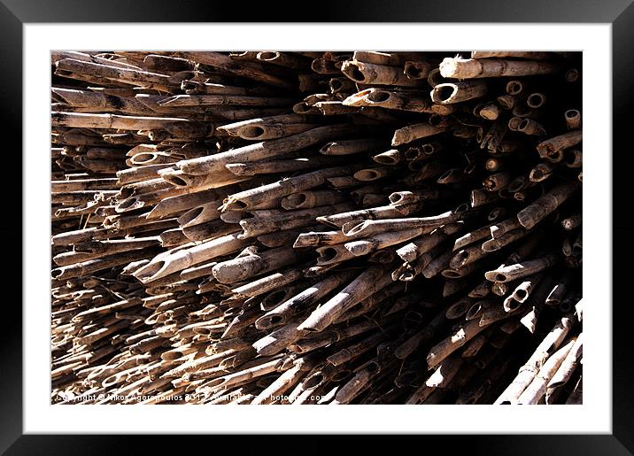 Reeds pile Framed Mounted Print by Alfani Photography
