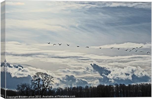 geese in flight Canvas Print by kirstin price