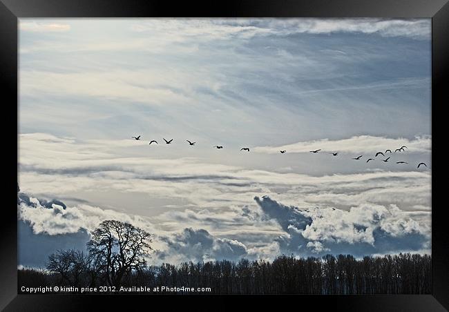 geese in flight Framed Print by kirstin price