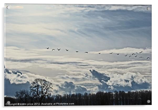 geese in flight Acrylic by kirstin price