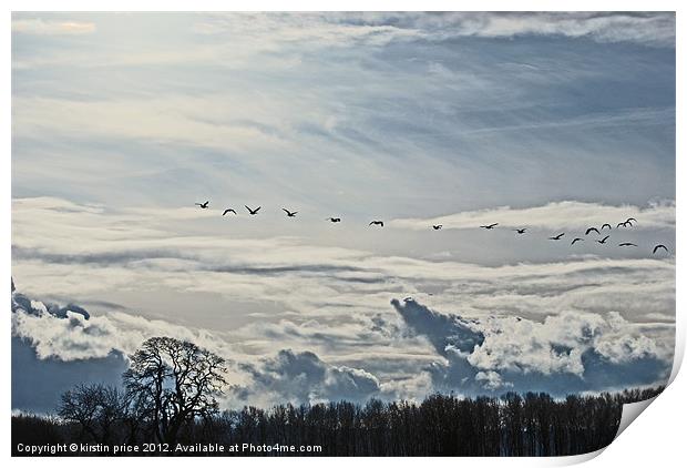 geese in flight Print by kirstin price