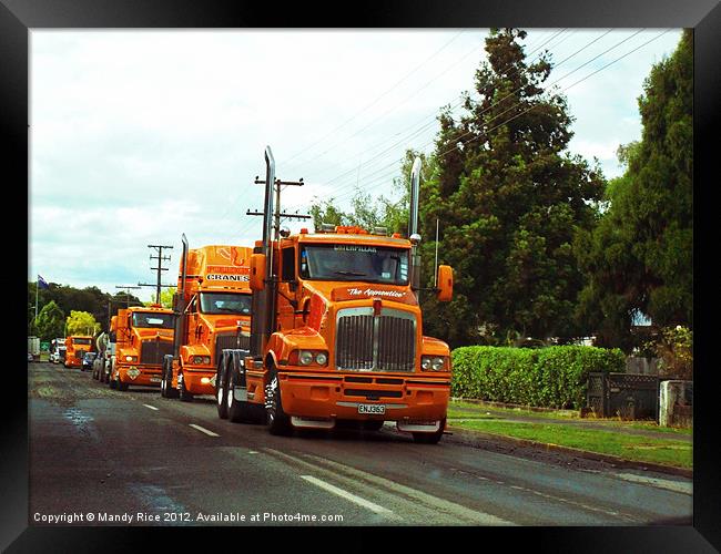 Orange trucks in a row Framed Print by Mandy Rice