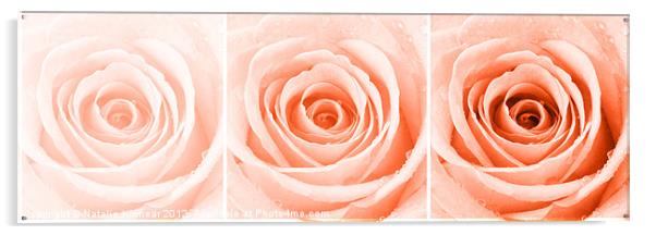 Orange Rose with Water Droplets Triptych Acrylic by Natalie Kinnear