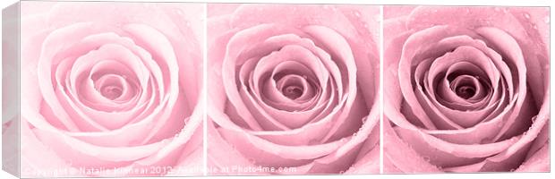 Plum Rose with Water Droplets Triptych Canvas Print by Natalie Kinnear