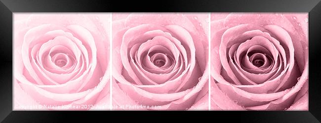 Plum Rose with Water Droplets Triptych Framed Print by Natalie Kinnear