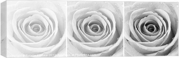Silver Rose with Water Droplets Triptych Canvas Print by Natalie Kinnear