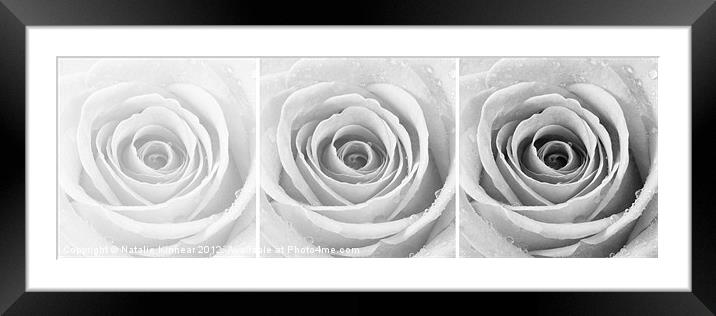 Silver Rose with Water Droplets Triptych Framed Mounted Print by Natalie Kinnear