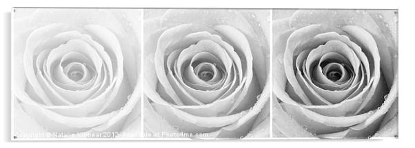 Silver Rose with Water Droplets Triptych Acrylic by Natalie Kinnear