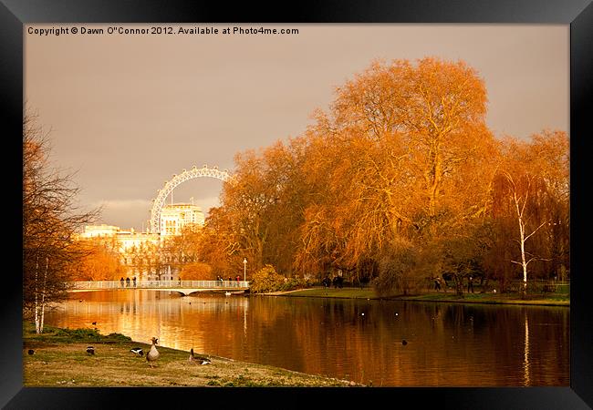 St. James's Park and the London Eye Framed Print by Dawn O'Connor