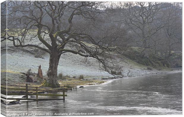 2. Loughrigg Tarn Frozen in Time (Winter) Canvas Print by Paul Leviston
