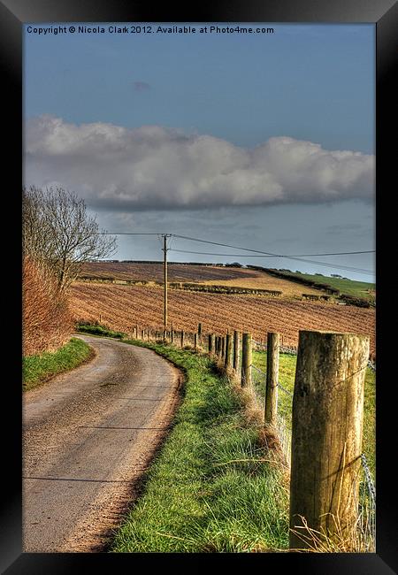 Country Lane Framed Print by Nicola Clark