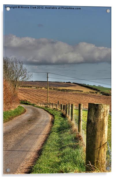 Country Lane Acrylic by Nicola Clark