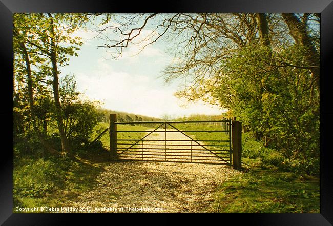 Through the Field Gate Framed Print by Debra Kelday