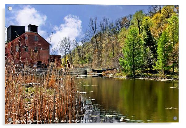 Spring at the Old Mill Acrylic by Elaine Manley
