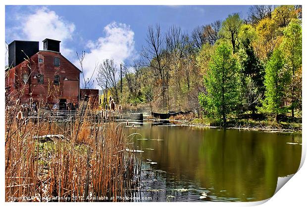 Spring at the Old Mill Print by Elaine Manley