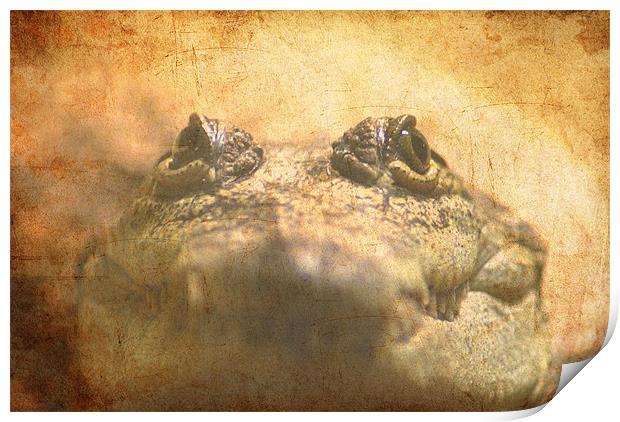 Crocodylus Moreletii Close up Print by Maria Tzamtzi Photography