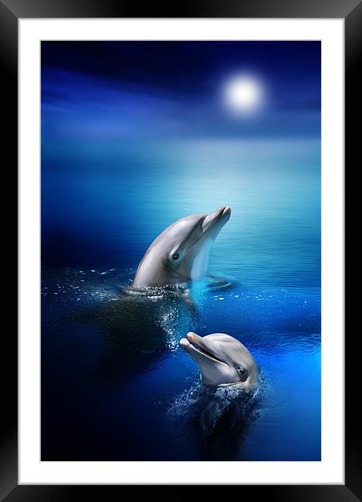 Dolphin Delight Framed Mounted Print by Julie Hoddinott