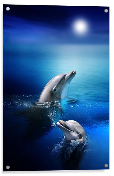 Dolphin Delight Acrylic by Julie Hoddinott