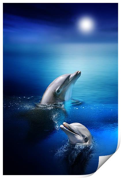 Dolphin Delight Print by Julie Hoddinott