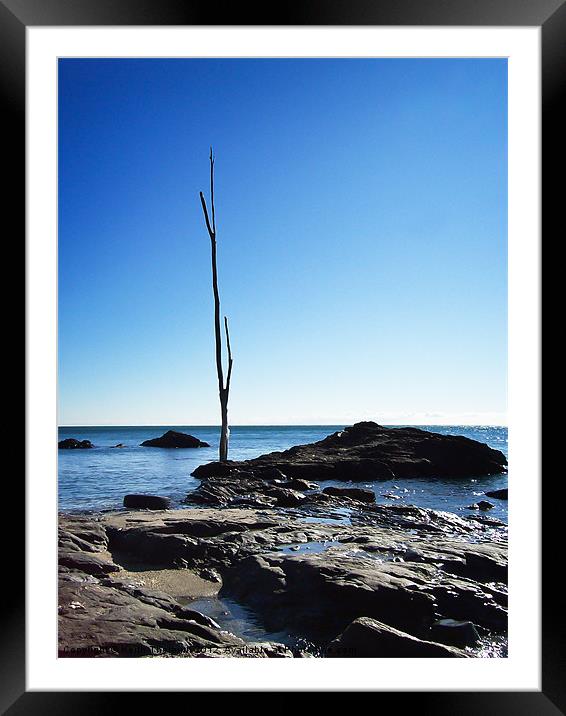 The Lone Tree Framed Mounted Print by Keith Thorburn EFIAP/b