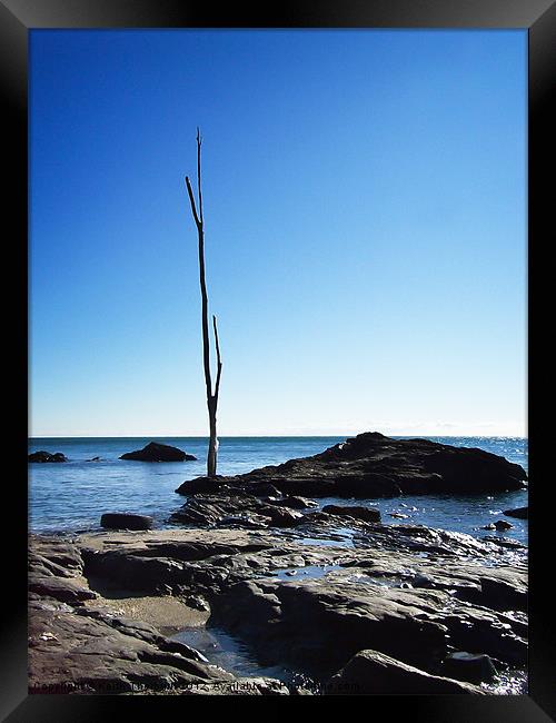 The Lone Tree Framed Print by Keith Thorburn EFIAP/b