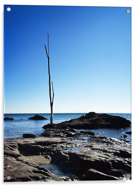 The Lone Tree Acrylic by Keith Thorburn EFIAP/b