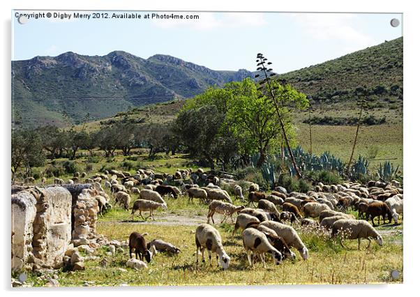 Flock in a landscape Acrylic by Digby Merry