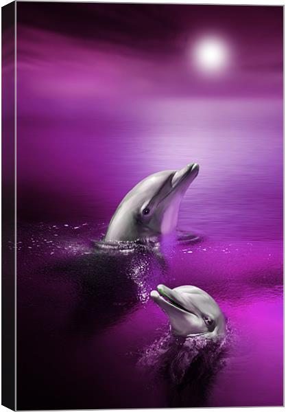 Dolphin Delights Canvas Print by Julie Hoddinott