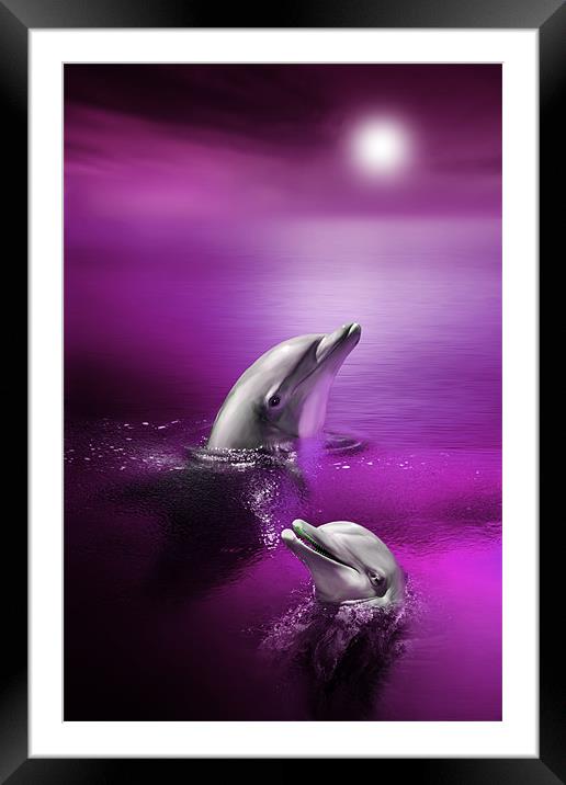 Dolphin Delights Framed Mounted Print by Julie Hoddinott