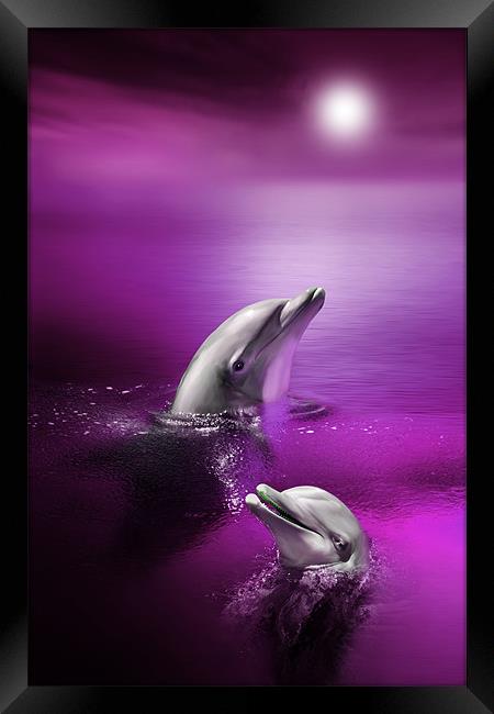 Dolphin Delights Framed Print by Julie Hoddinott