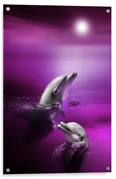 Dolphin Delights Acrylic by Julie Hoddinott