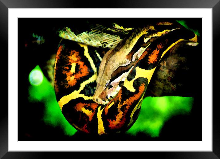 Hanging Framed Mounted Print by Maria Tzamtzi Photography