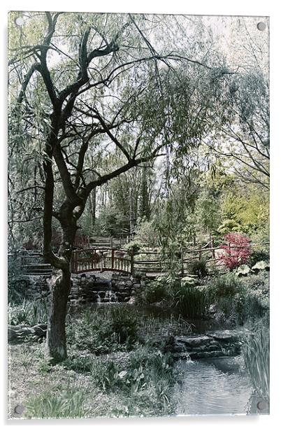 Peaceful Garden Acrylic by Fraser Hetherington