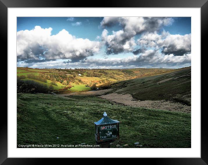 Exmoor postbox Framed Mounted Print by Alexia Miles