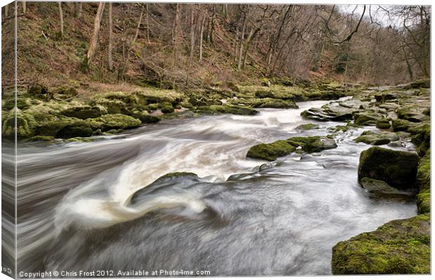 Power of the Strid Canvas Print by Chris Frost